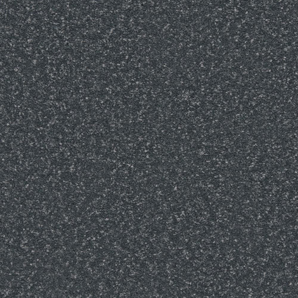 Apollo Plus Carpet