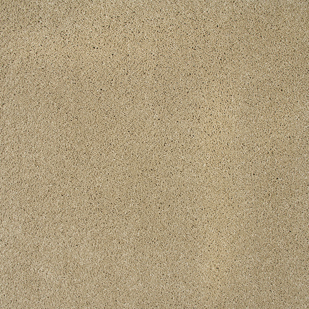 Sensation Original 60oz Carpet