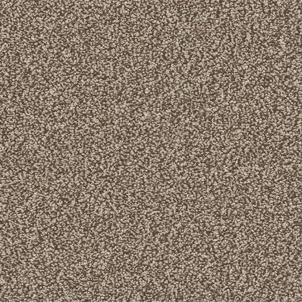 Linwood 40oz Twist Carpet