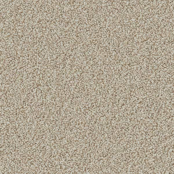 Linwood 40oz Twist Carpet