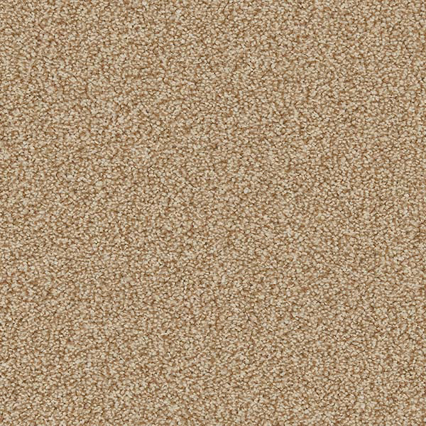 Linwood 40oz Twist Carpet