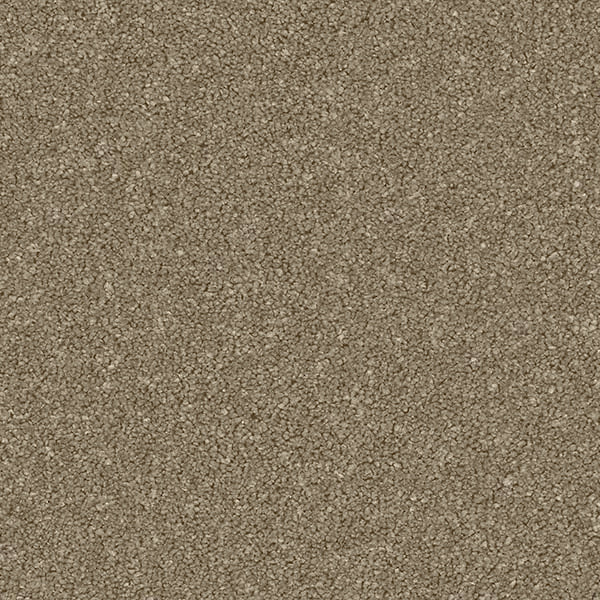 Linwood 40oz Twist Carpet