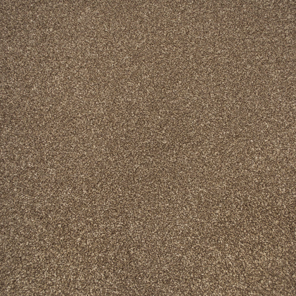 Apollo Plus Carpet