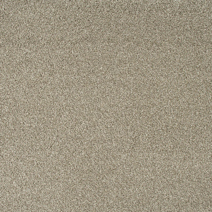 Sensation Heathers 60oz Carpet