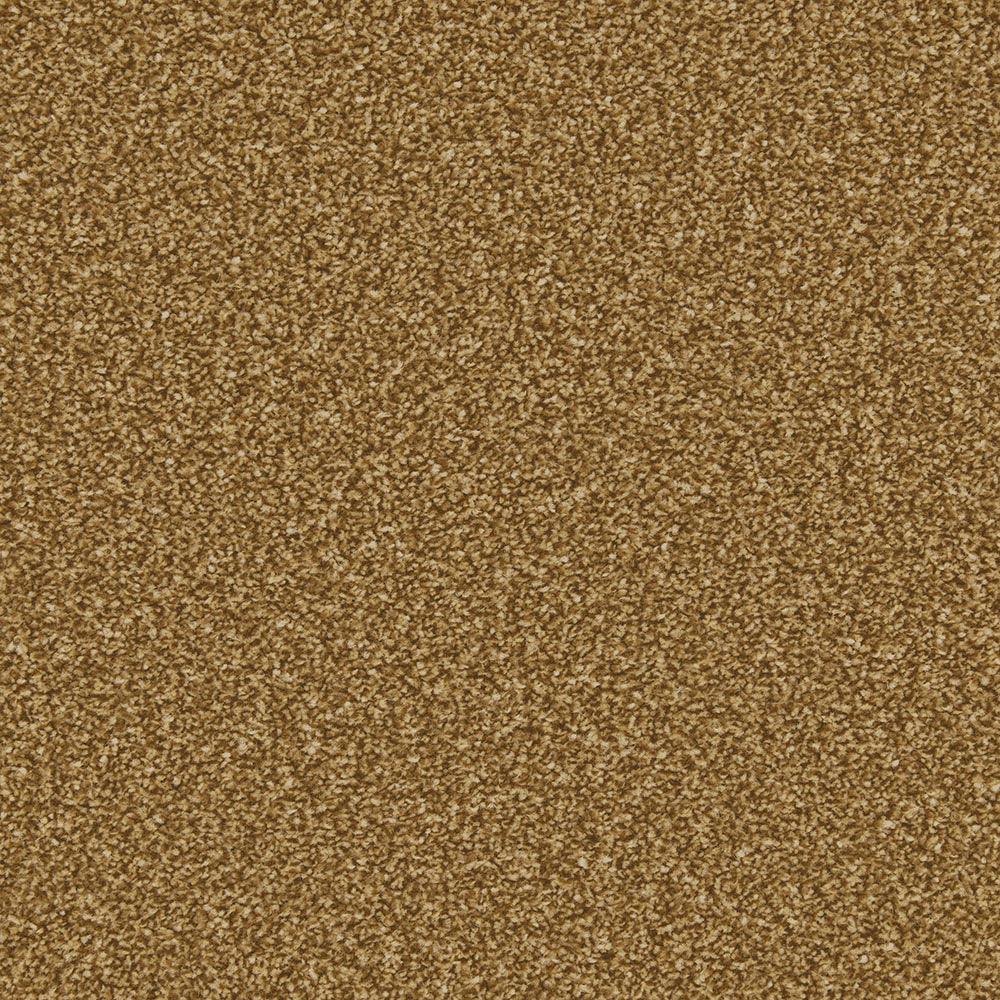 Apollo Plus Carpet