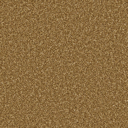 Apollo Plus Carpet