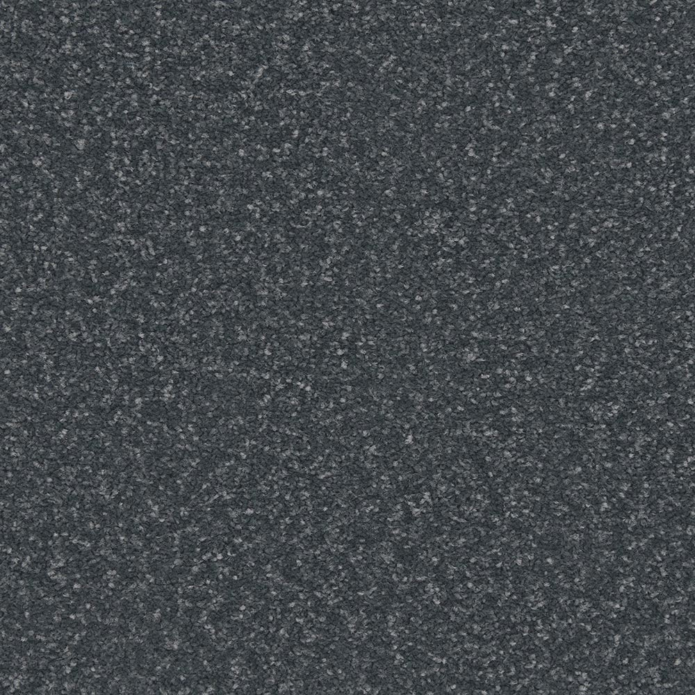 Apollo Plus Carpet