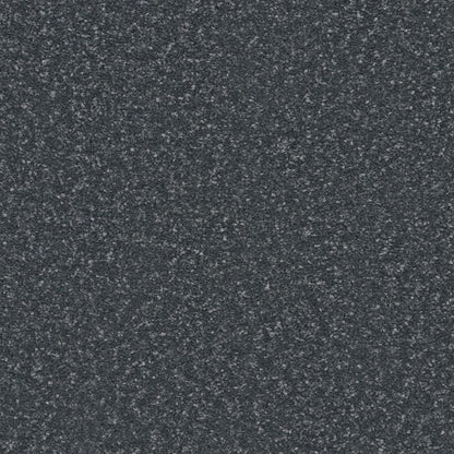 Apollo Plus Carpet