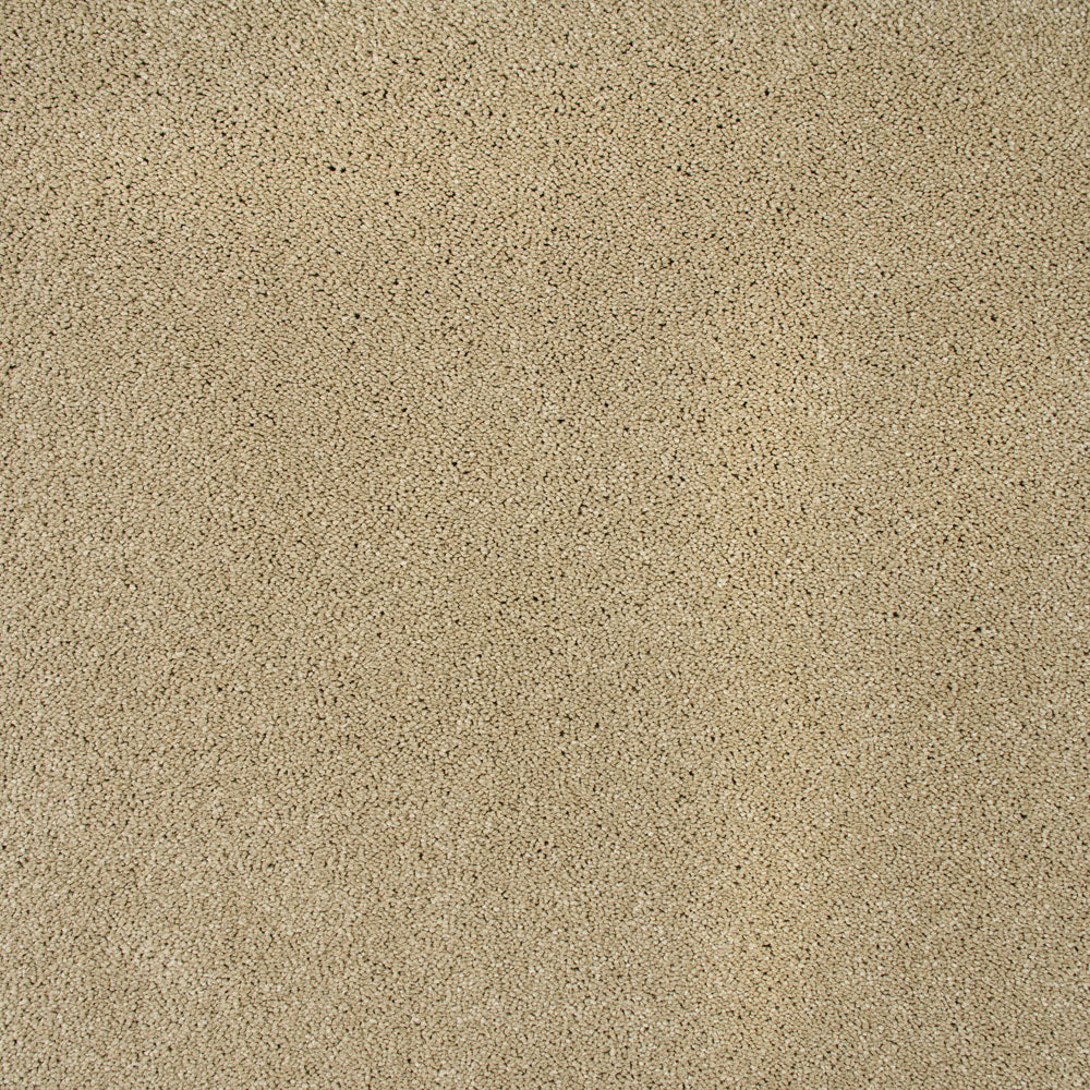 Sensation Original 60oz Carpet