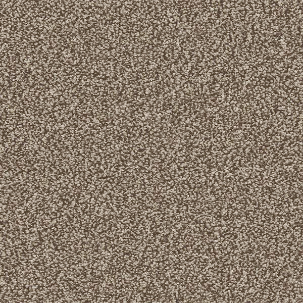 Linwood 40oz Twist Carpet