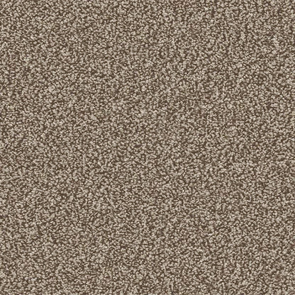 Linwood 40oz Twist Carpet