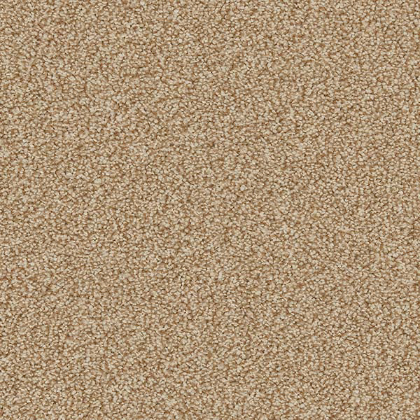 Linwood 40oz Twist Carpet