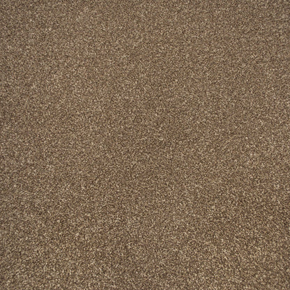 Apollo Plus Carpet