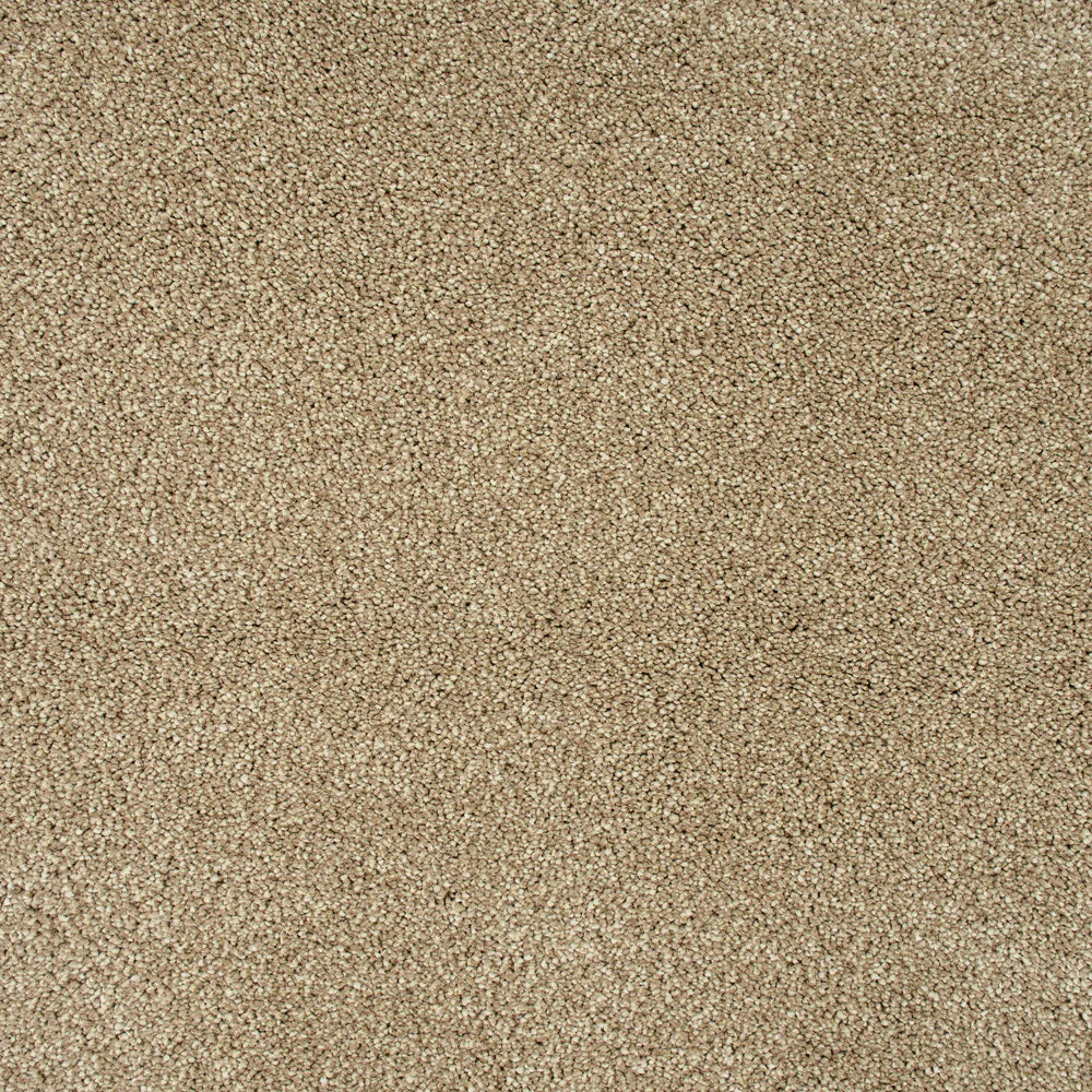 Sensation Heathers 60oz Carpet