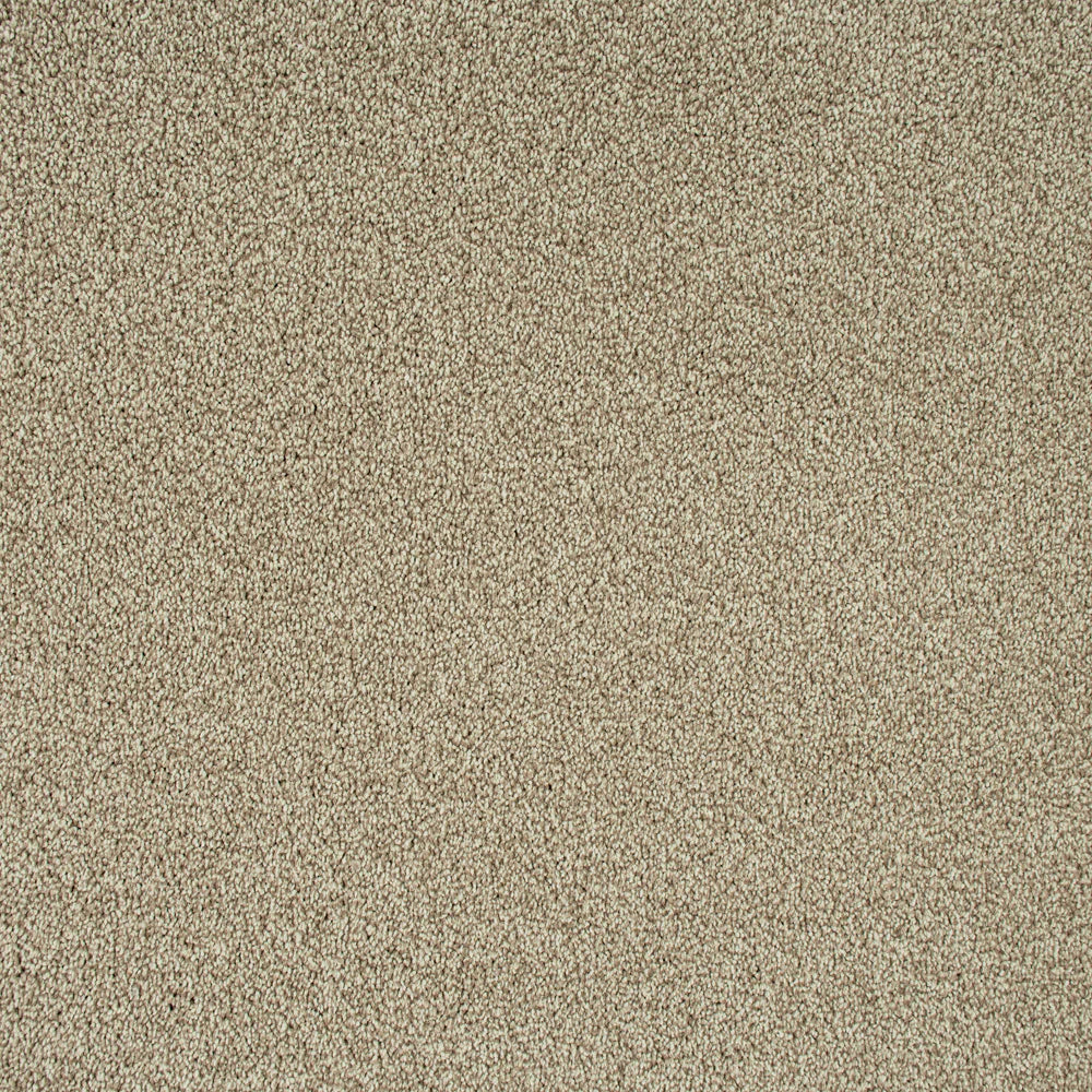 Sensation Heathers 60oz Carpet