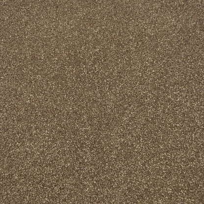 Apollo Plus Carpet