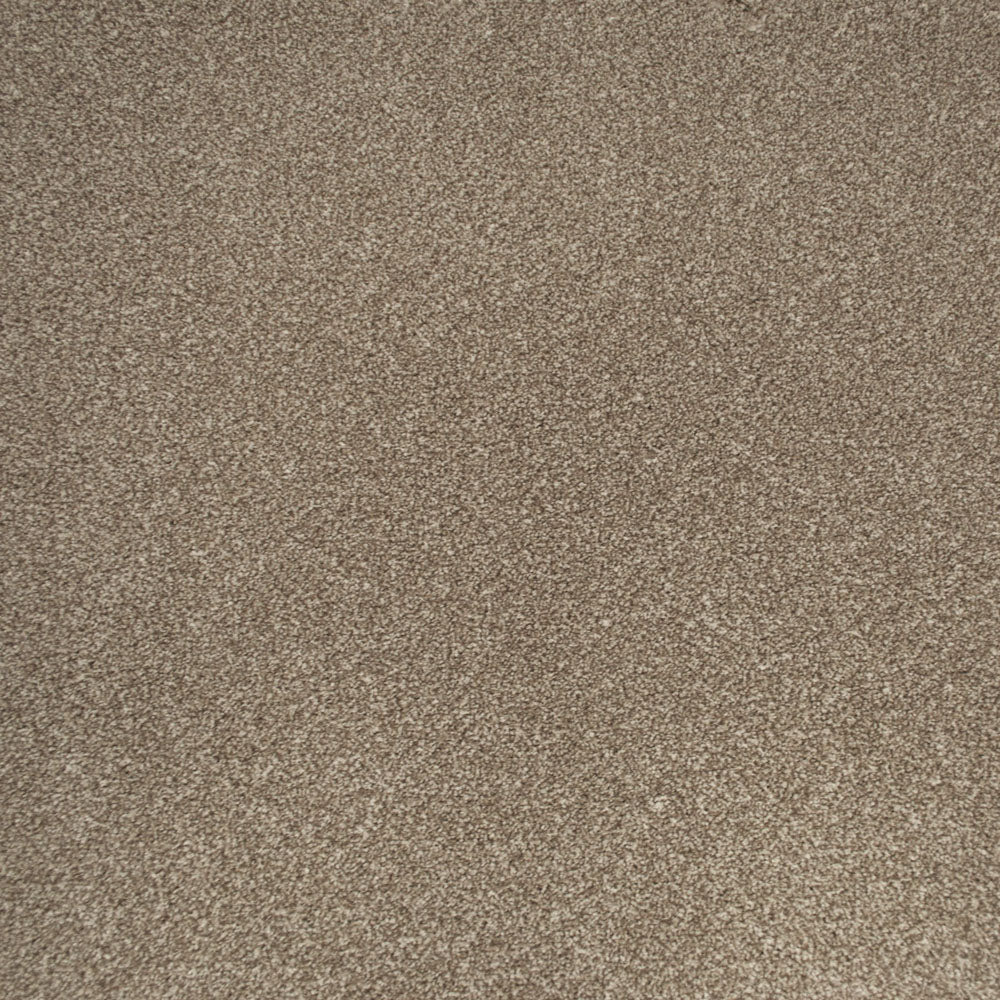 Apollo Plus Carpet