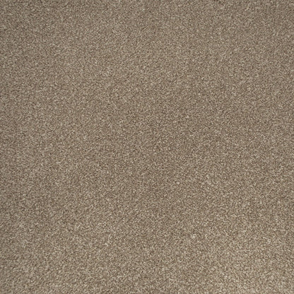 Apollo Plus Carpet