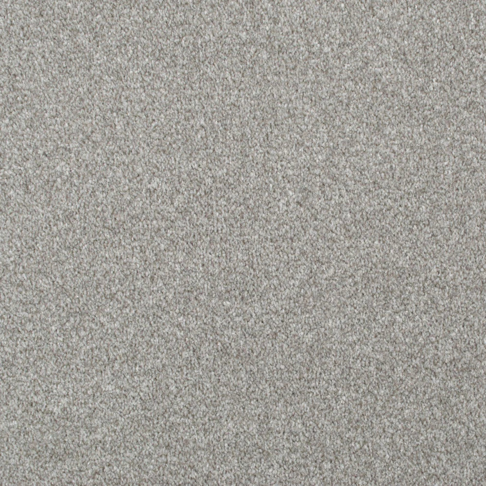 Apollo Plus Carpet