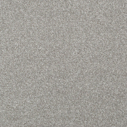 Apollo Plus Carpet