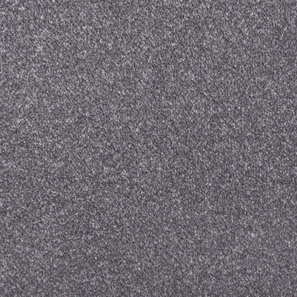 Apollo Plus Carpet