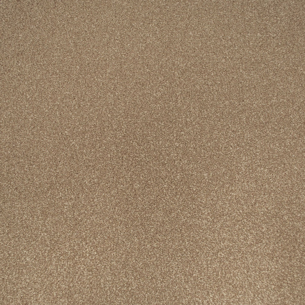 Apollo Plus Carpet