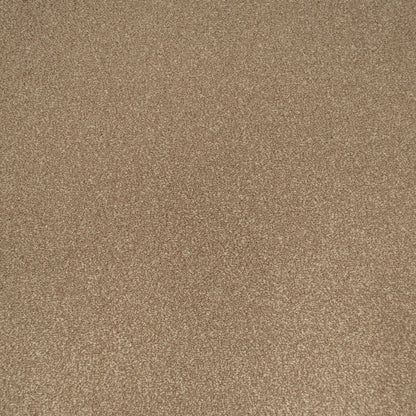 Apollo Plus Carpet